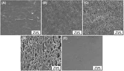 Structure Characterization and Biodegradation Rate of Poly(ε-caprolactone)/Starch Blends